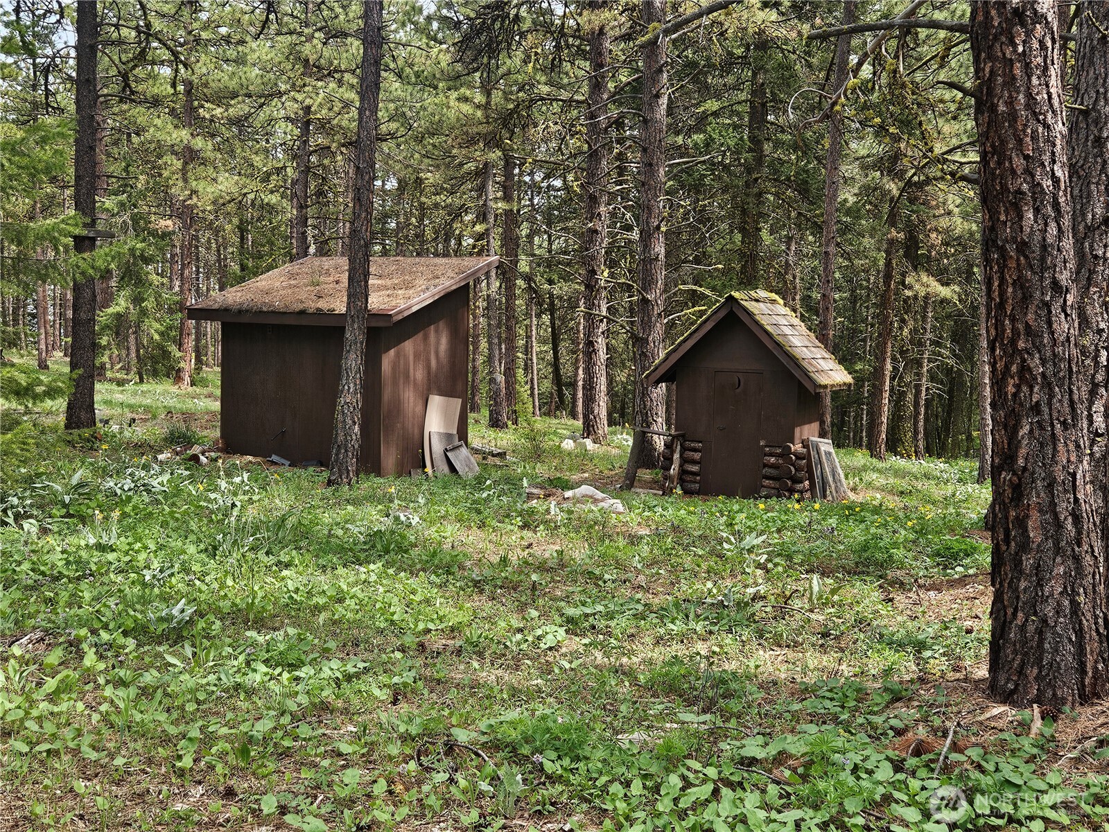 0 Muledeer Road Property Photo 1