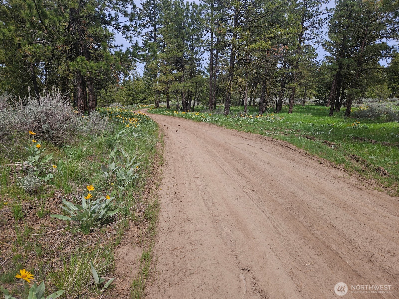 0 Muledeer Road Property Photo 2