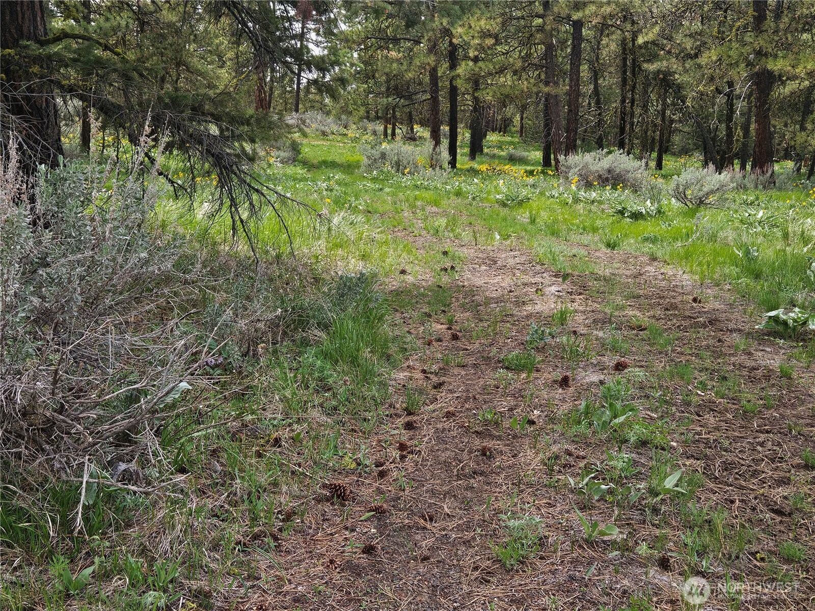 0 Muledeer Road Property Photo 3
