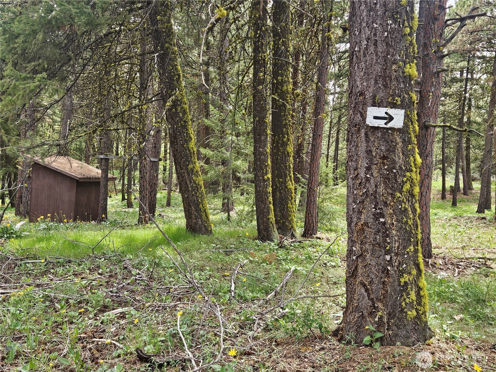 0 Muledeer Road Property Photo 5
