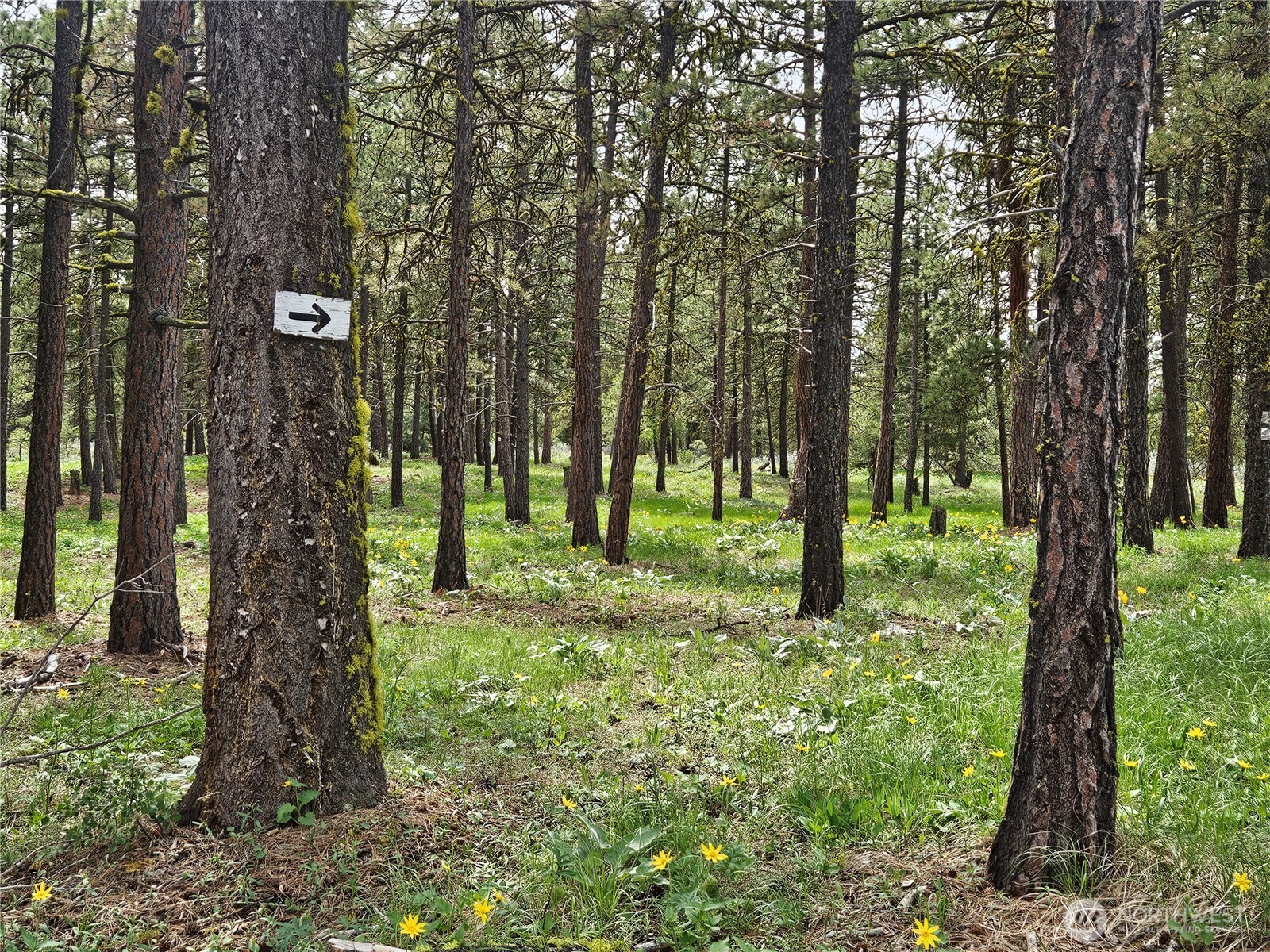 0 Muledeer Road Property Photo 6