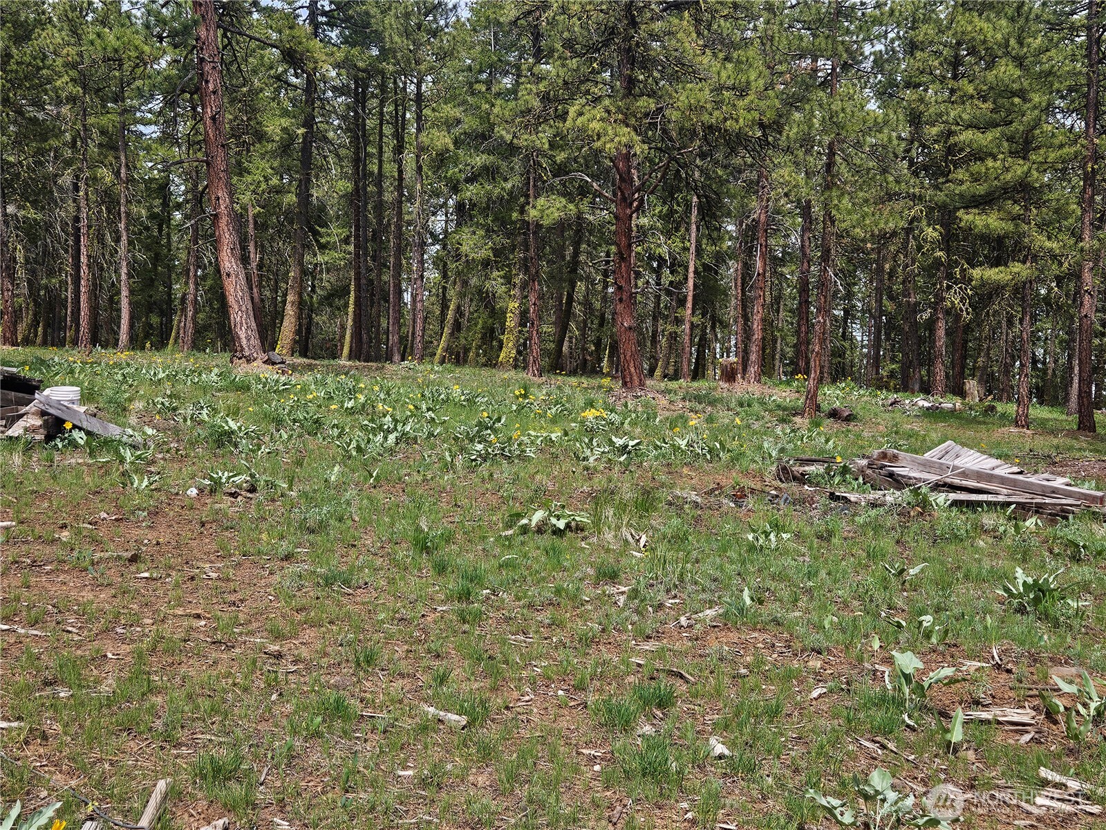 0 Muledeer Road Property Photo 8
