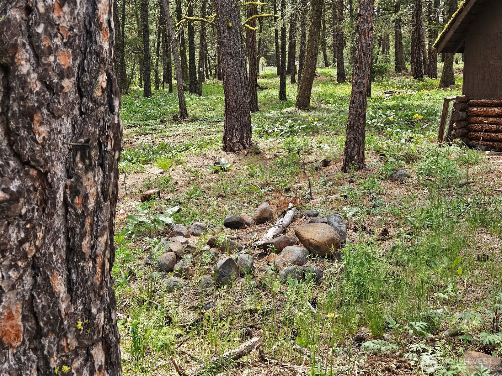 0 Muledeer Road Property Photo 9