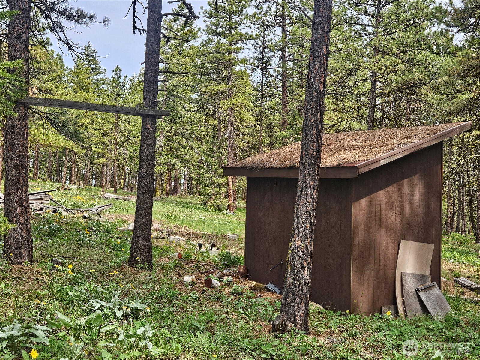 0 Muledeer Road Property Photo 13