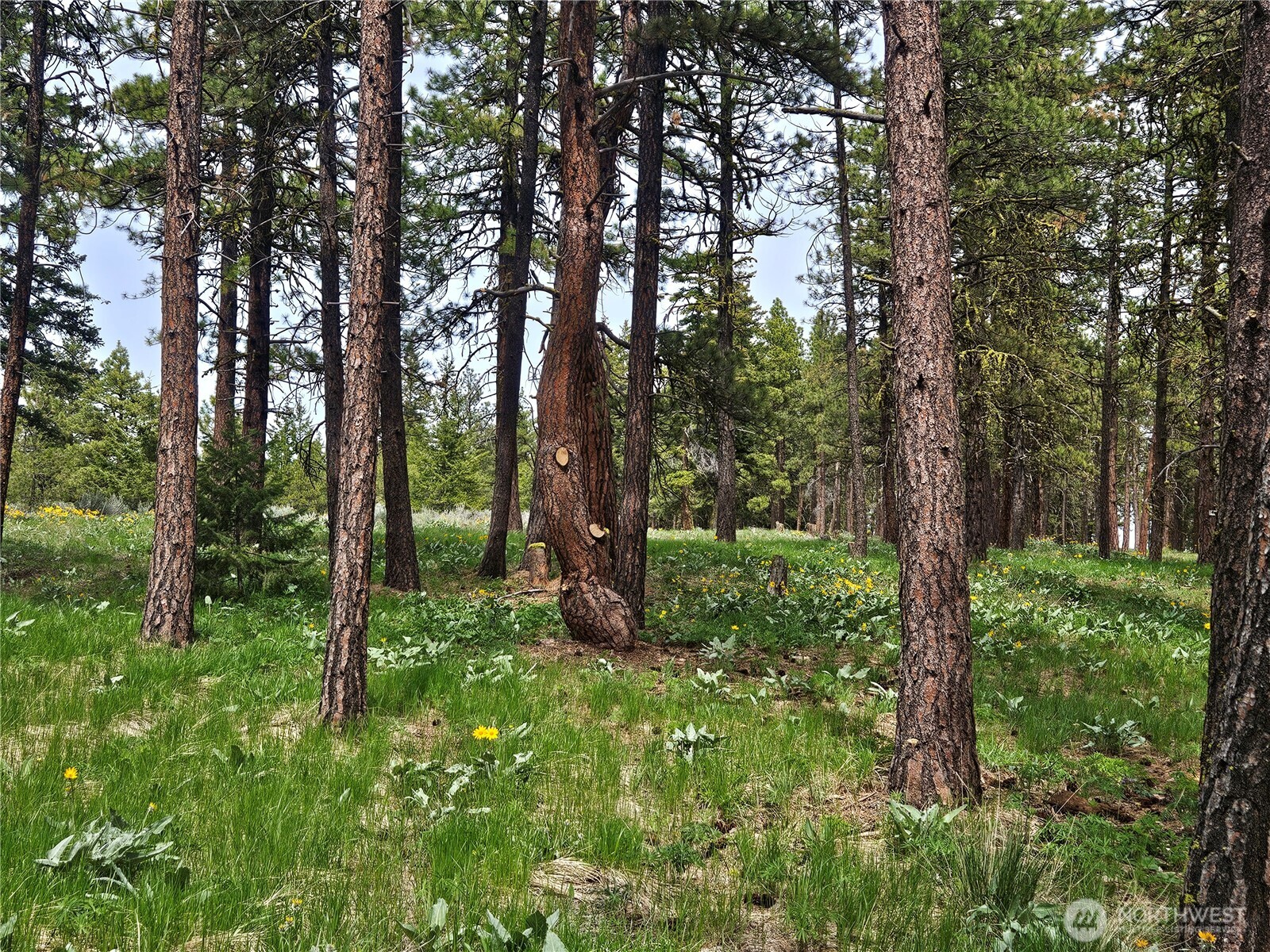 0 Muledeer Road Property Photo 14