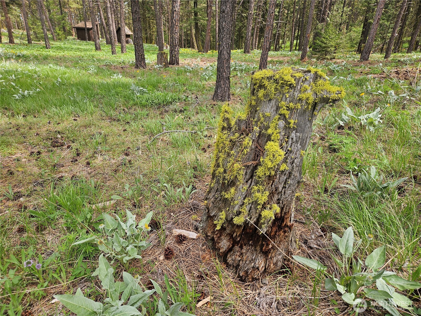 0 Muledeer Road Property Photo 15