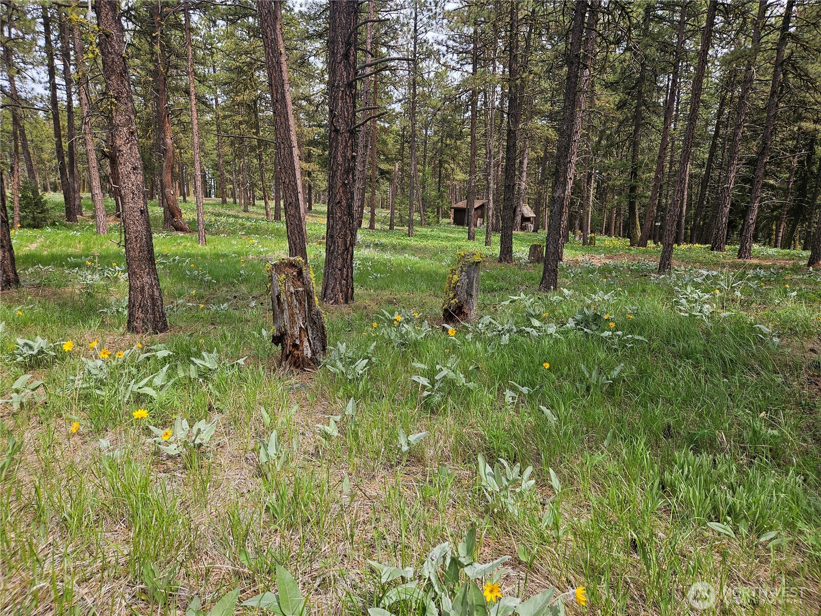 0 Muledeer Road Property Photo 18