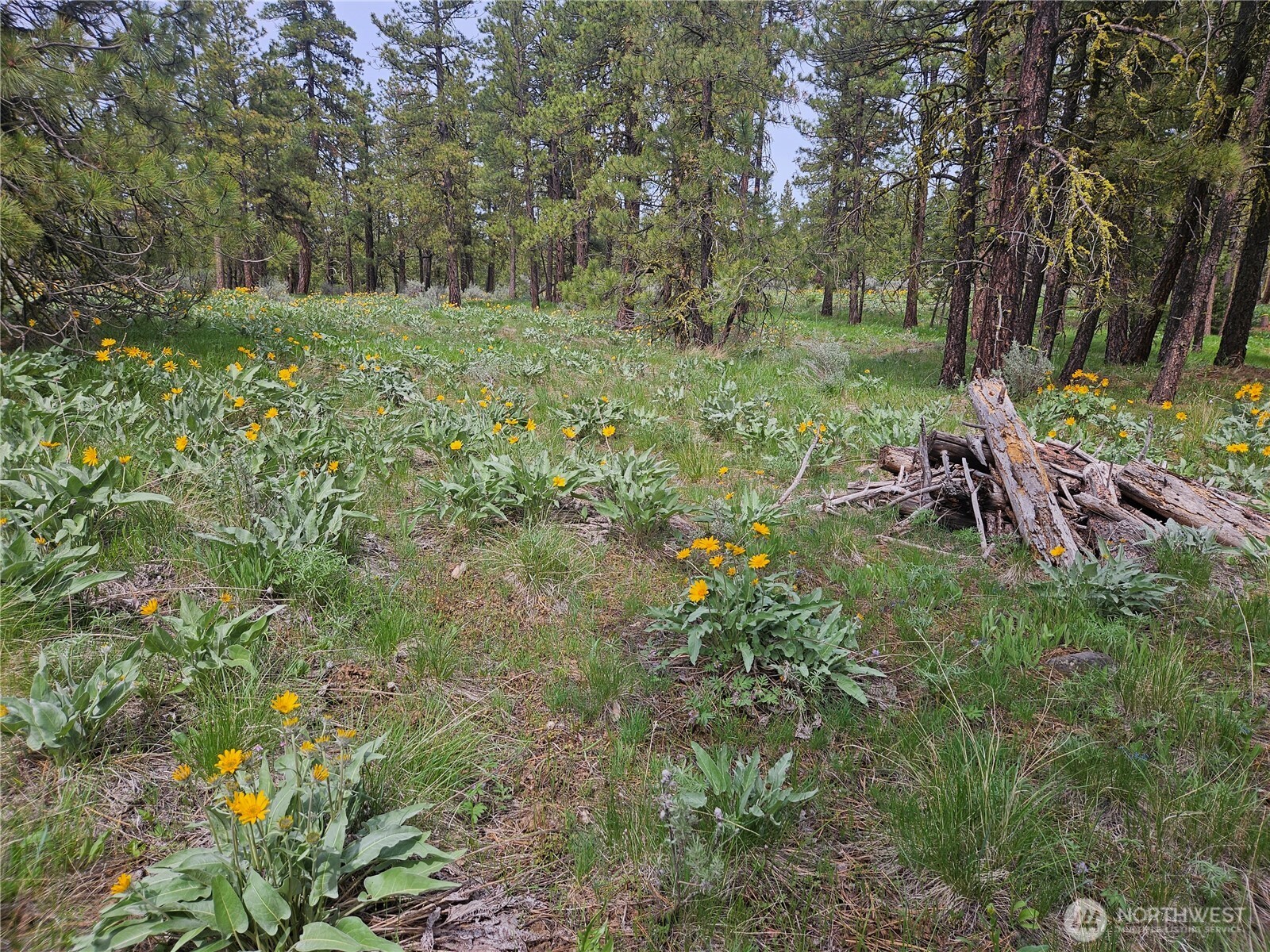 0 Muledeer Road Property Photo 19