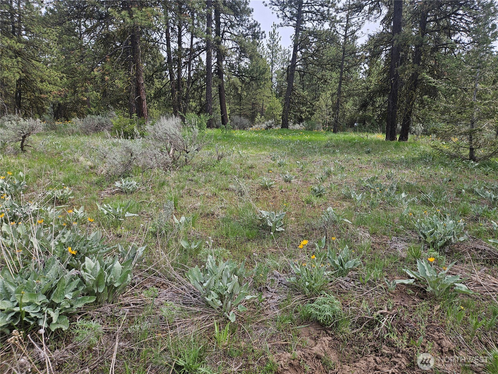 0 Muledeer Road Property Photo 20