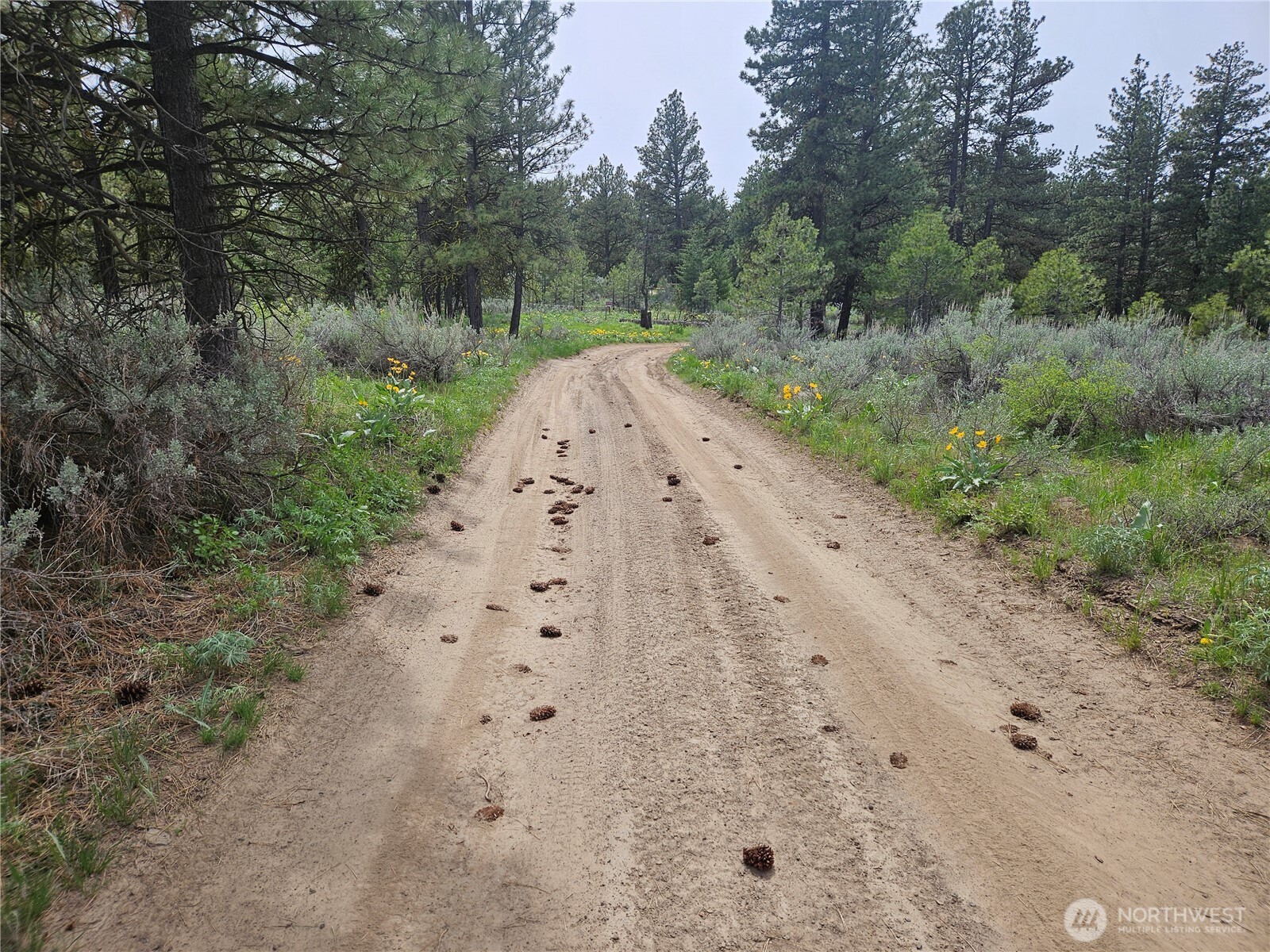 0 Muledeer Road Property Photo 21