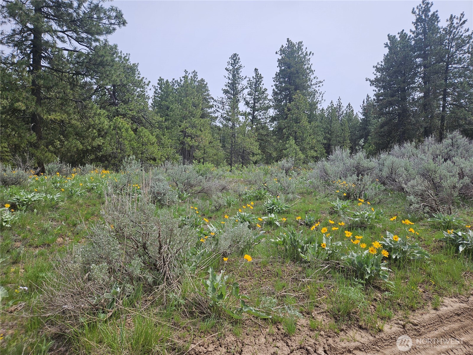 0 Muledeer Road Property Photo 22
