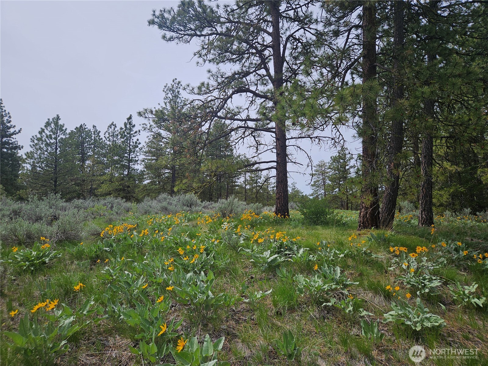 0 Muledeer Road Property Photo 23