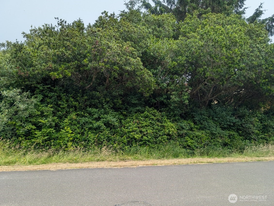 275 Queets Street Property Photo 1