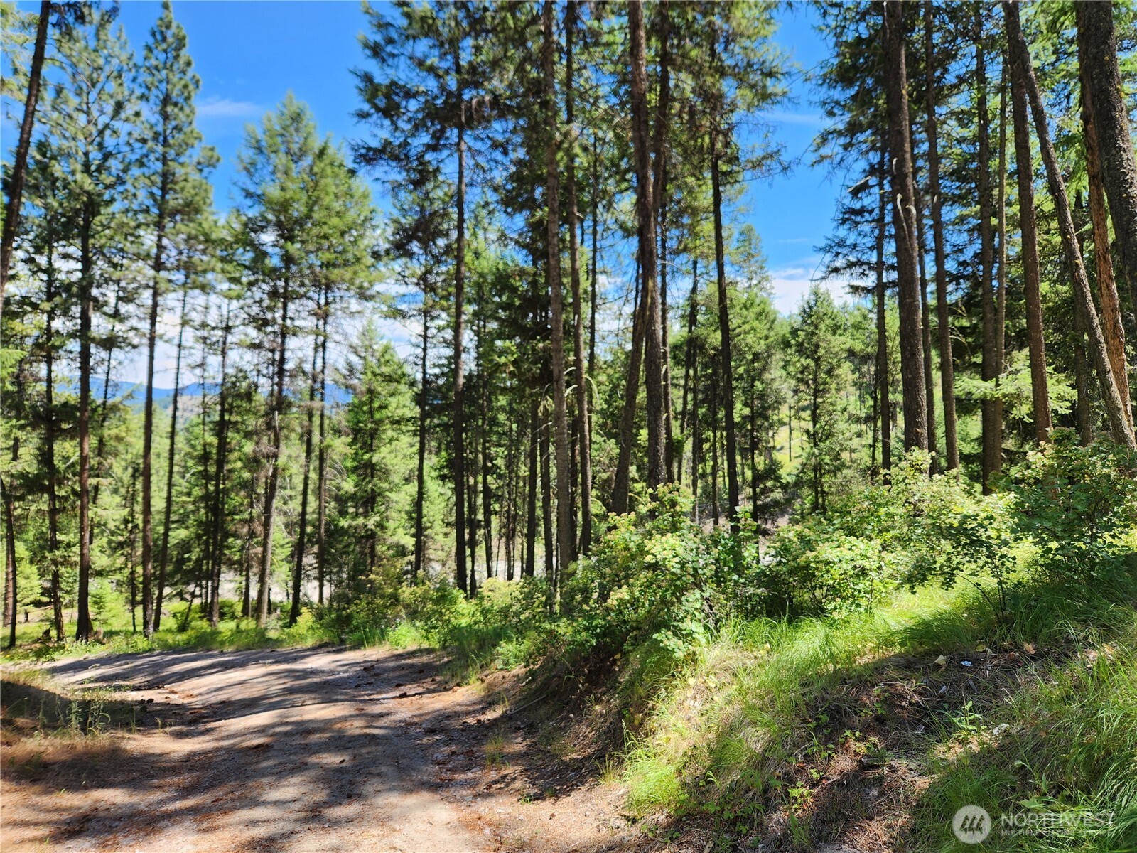 0 Lot 302 Klondike Road Property Photo 1