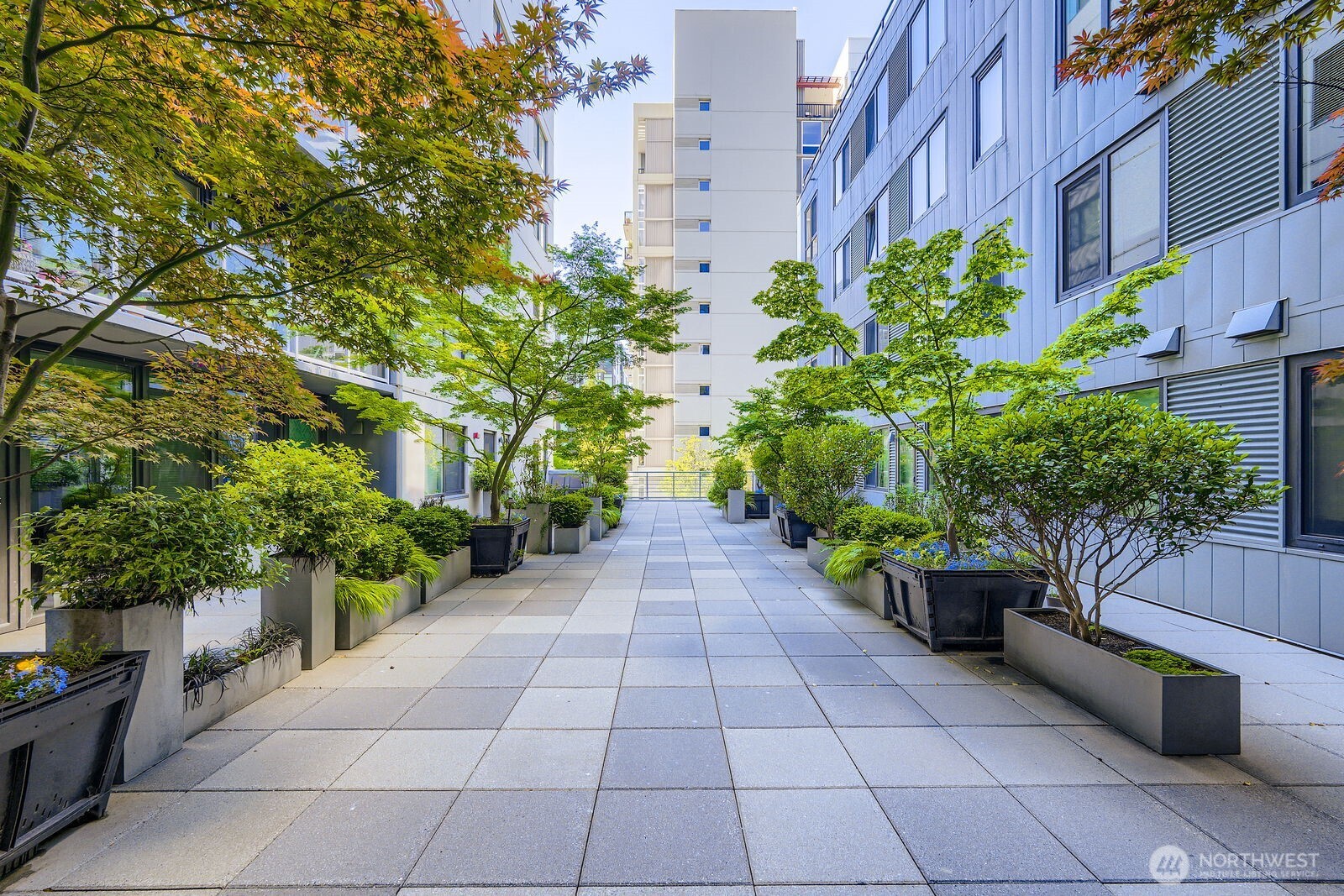 76 Cedar Street 806 Property Photo 18