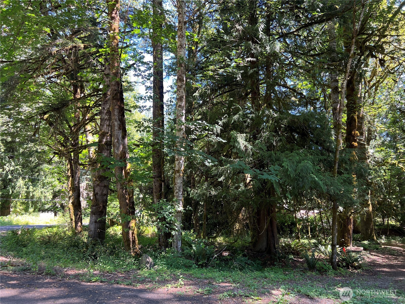 0 Mountain Trail Property Photo 1