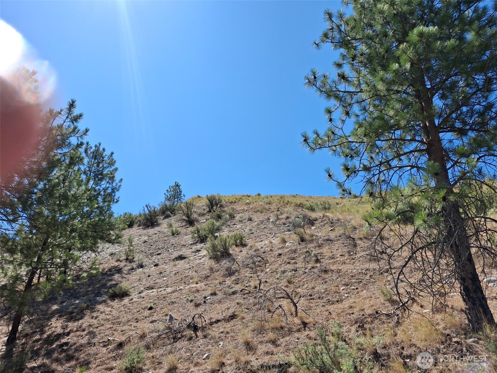 1299 Old Highway 97 Property Photo 3