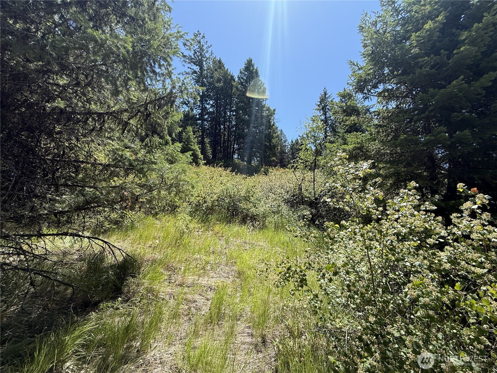 135 Slippery Hill Lane Property Photo 3