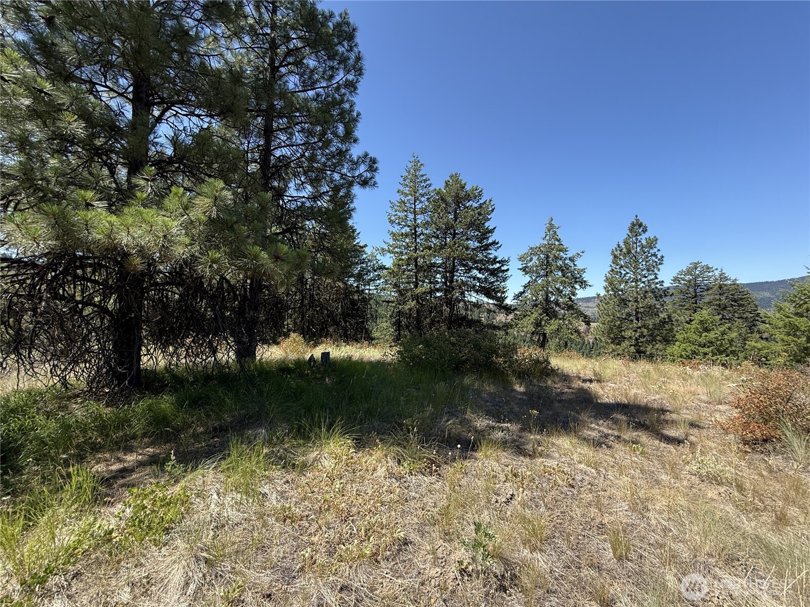 135 Slippery Hill Lane Property Photo 7