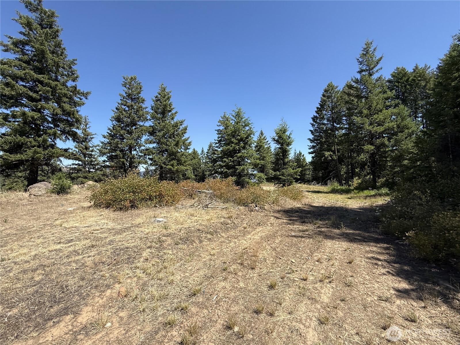 135 Slippery Hill Lane Property Photo 11