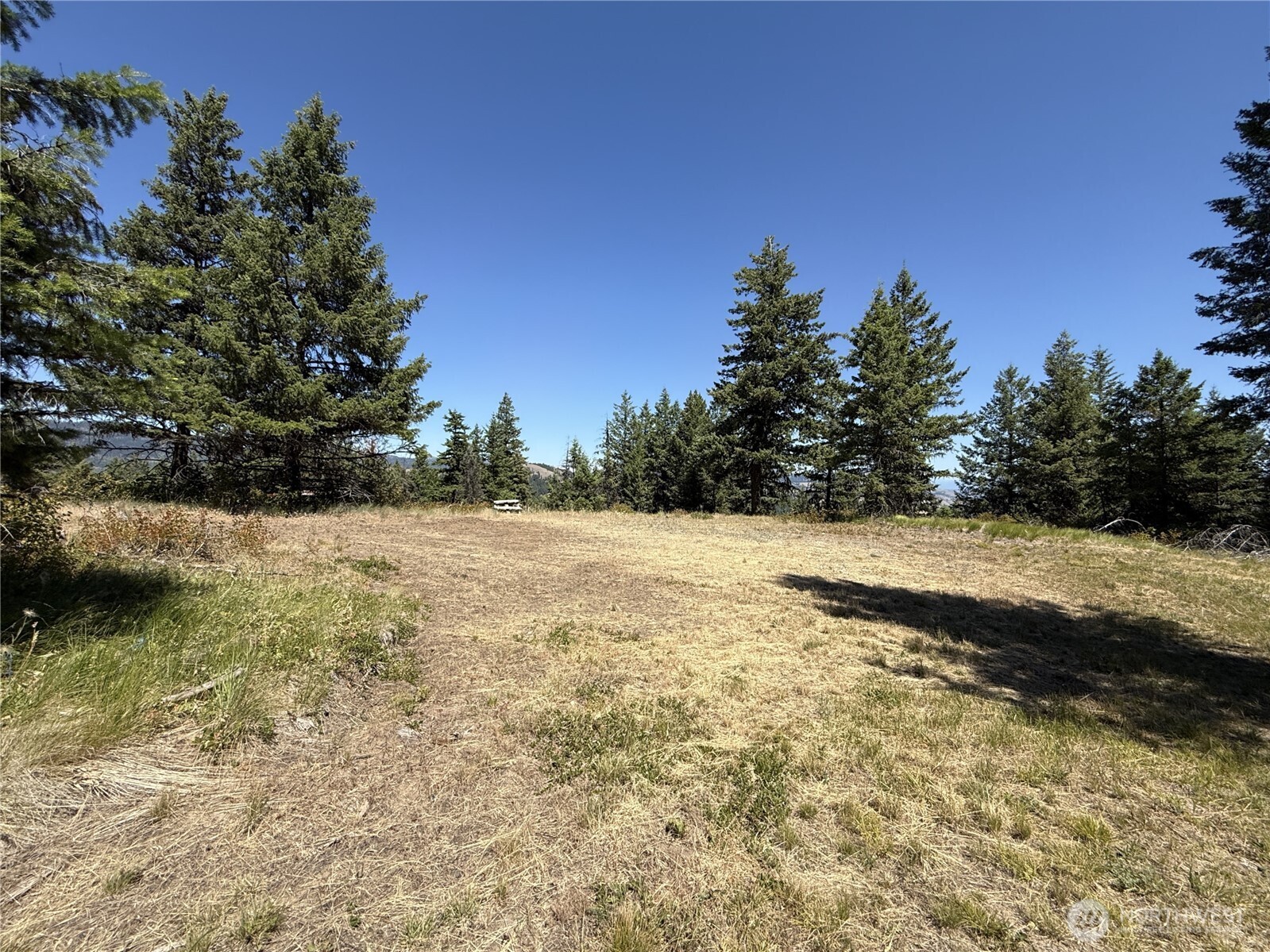 135 Slippery Hill Lane Property Photo 13