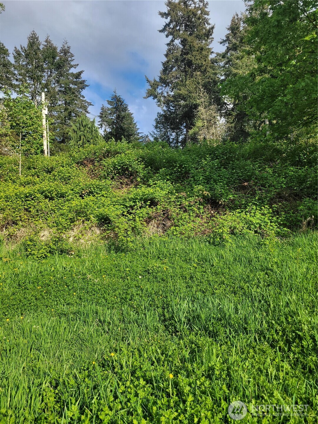 30431 38th Avenue Property Photo 17