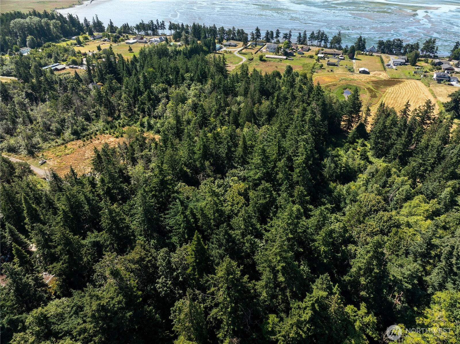 0 Nhn Samish Island Road Property Photo 1