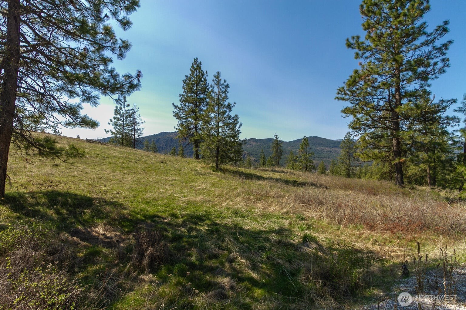 1622 Palmer Loop Property Photo 1