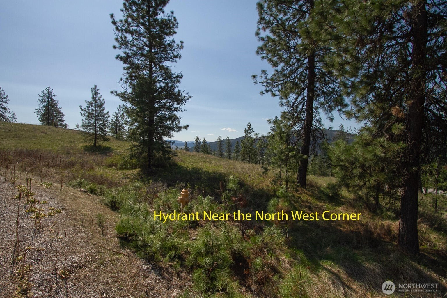 1622 Palmer Loop Property Photo 2