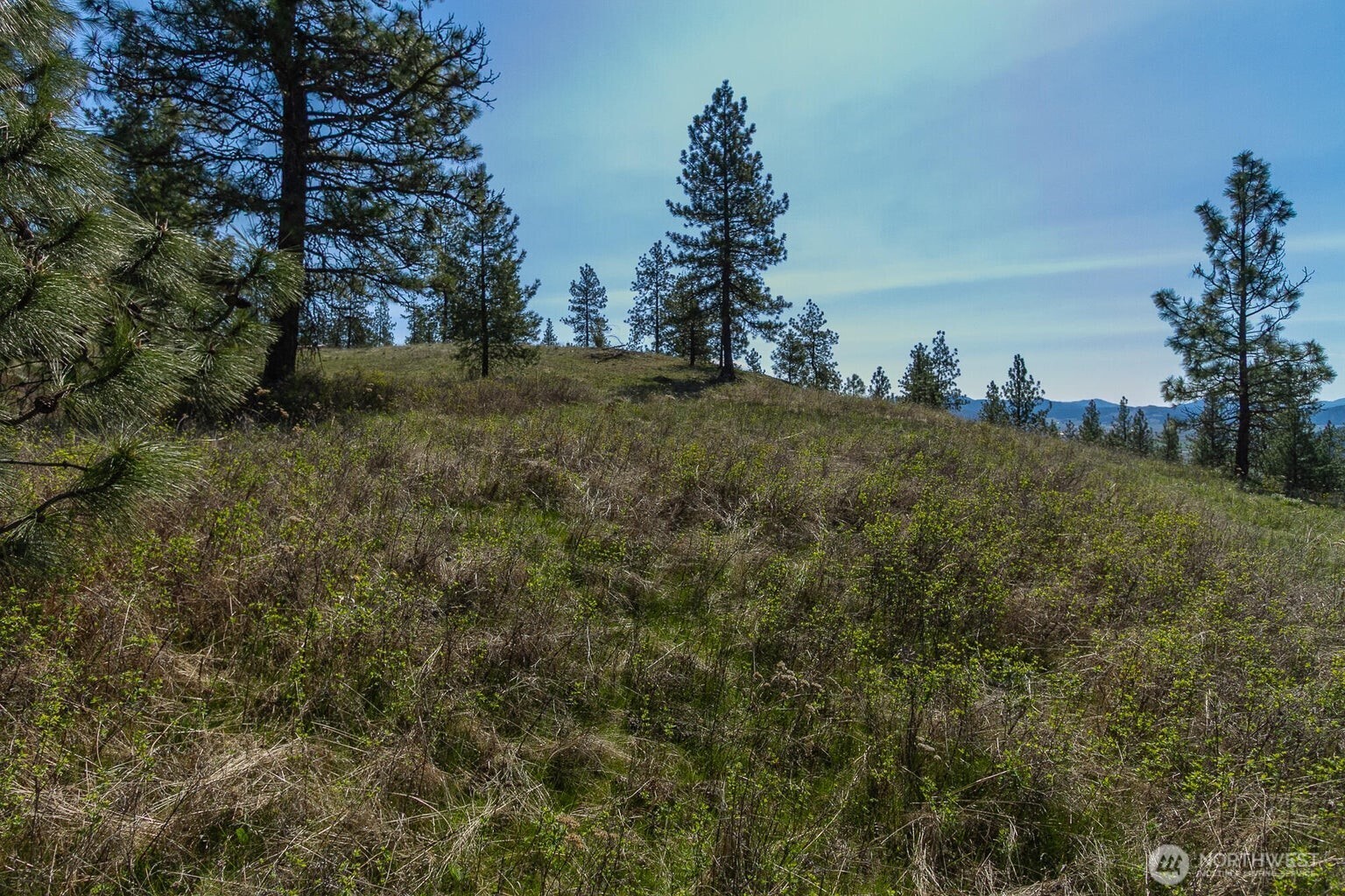 1622 Palmer Loop Property Photo 3