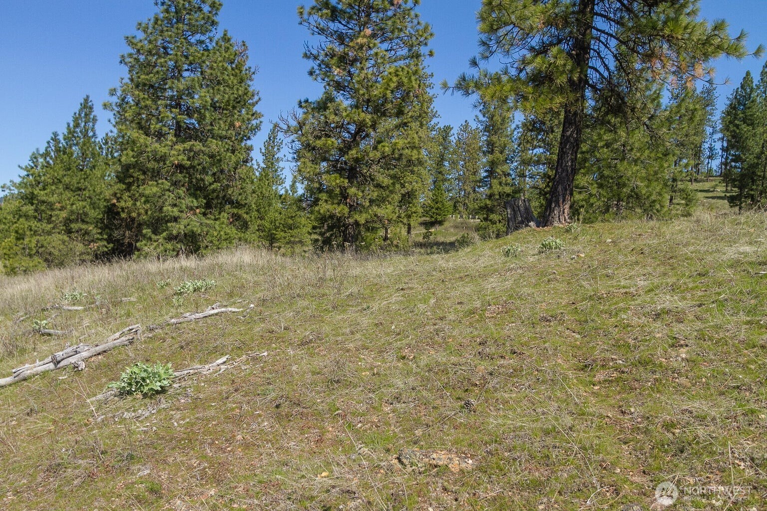 1622 Palmer Loop Property Photo 7