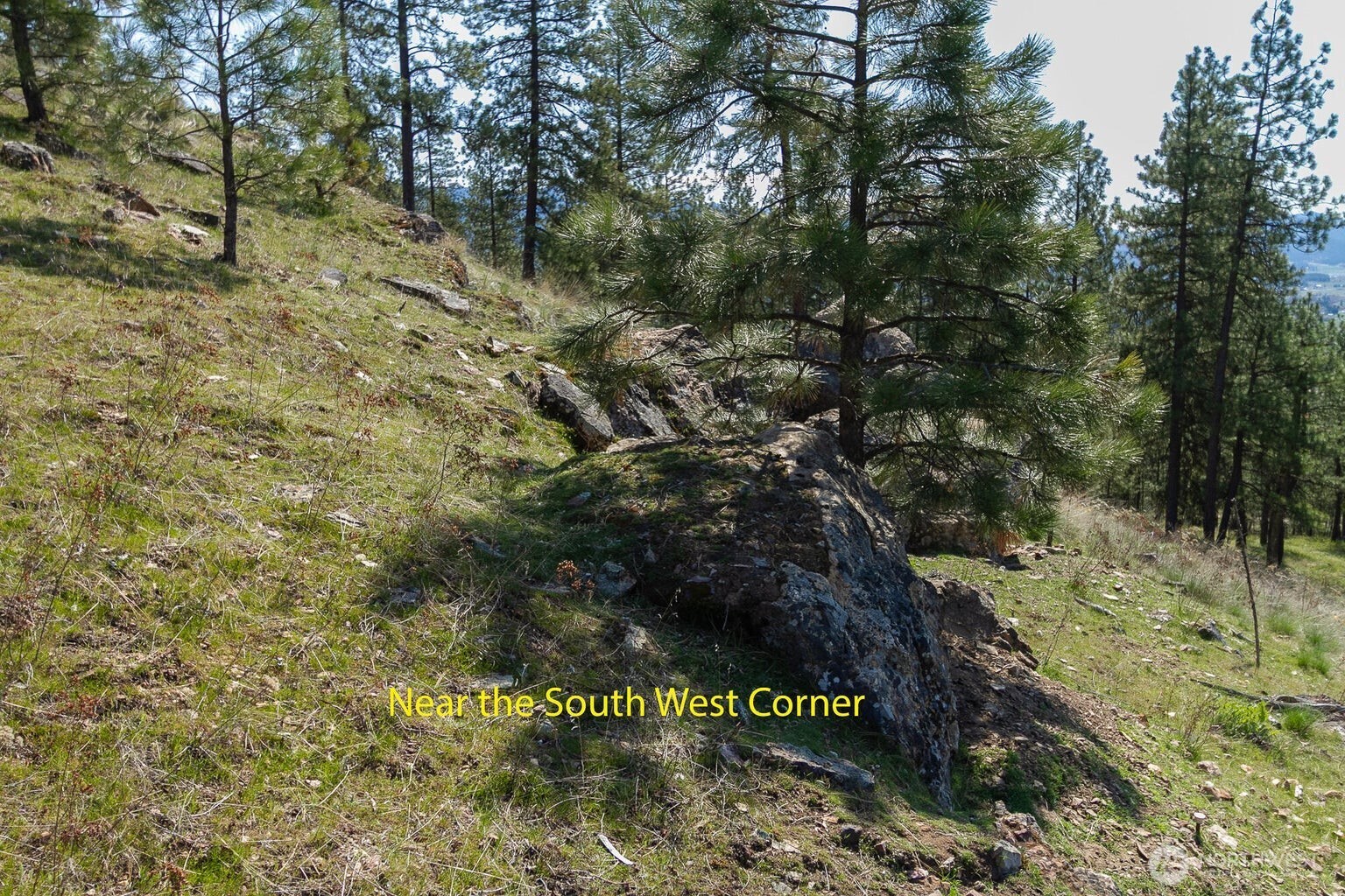 1622 Palmer Loop Property Photo 8