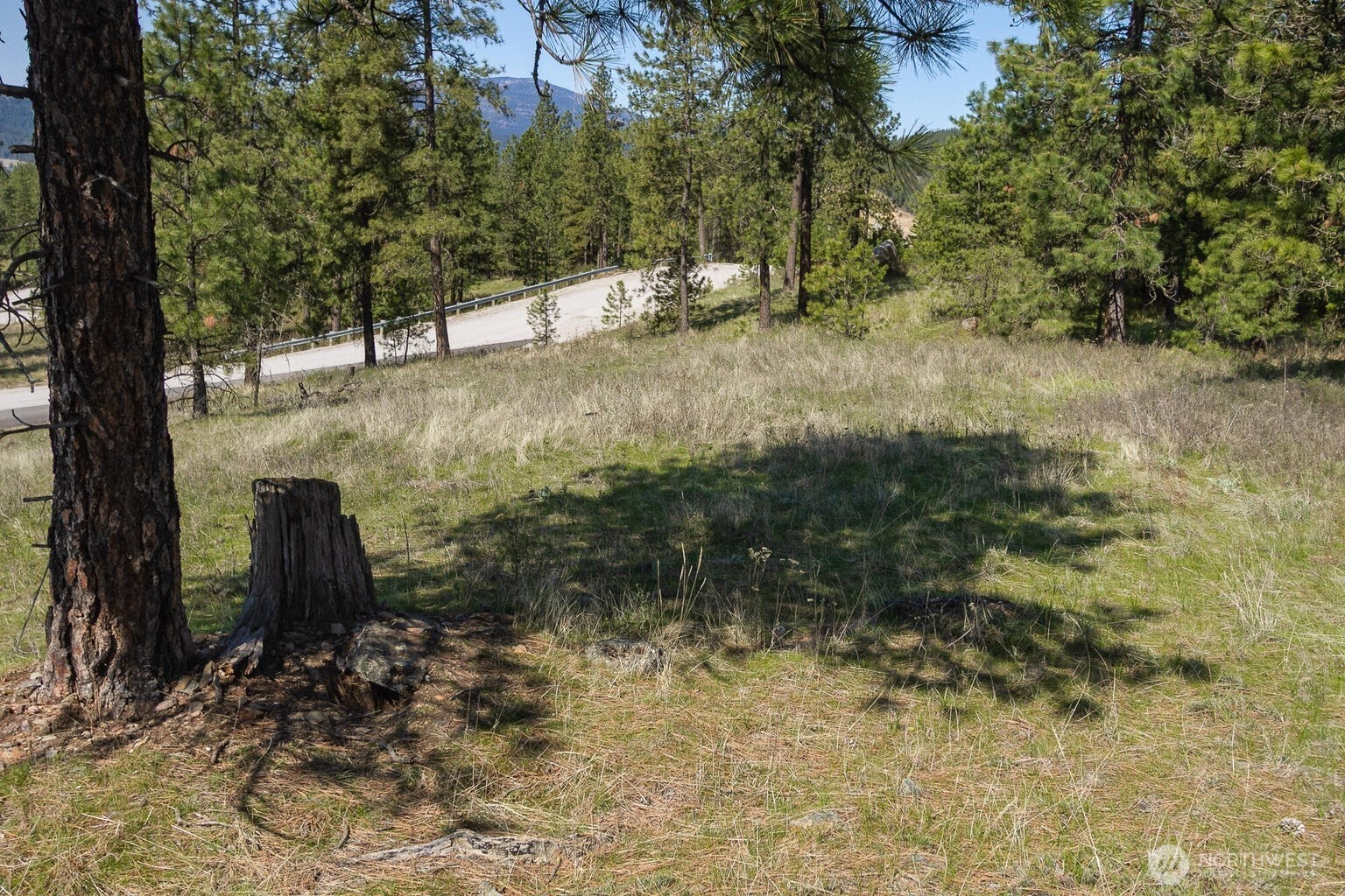 1622 Palmer Loop Property Photo 9