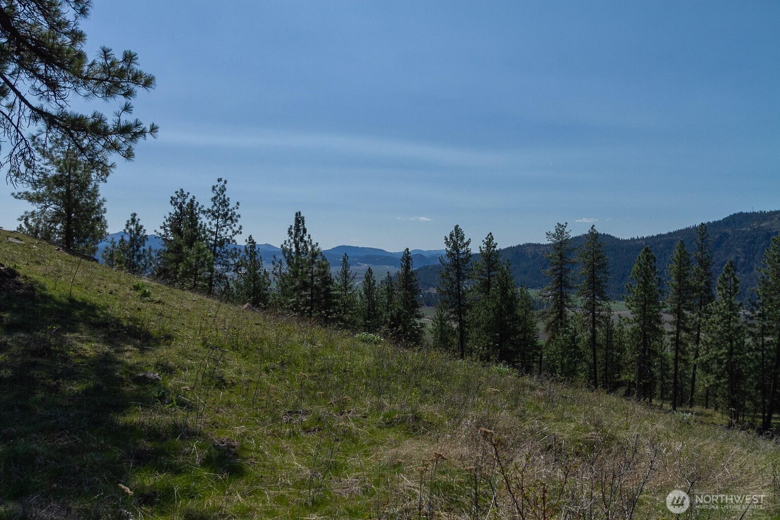 1622 Palmer Loop Property Photo 10