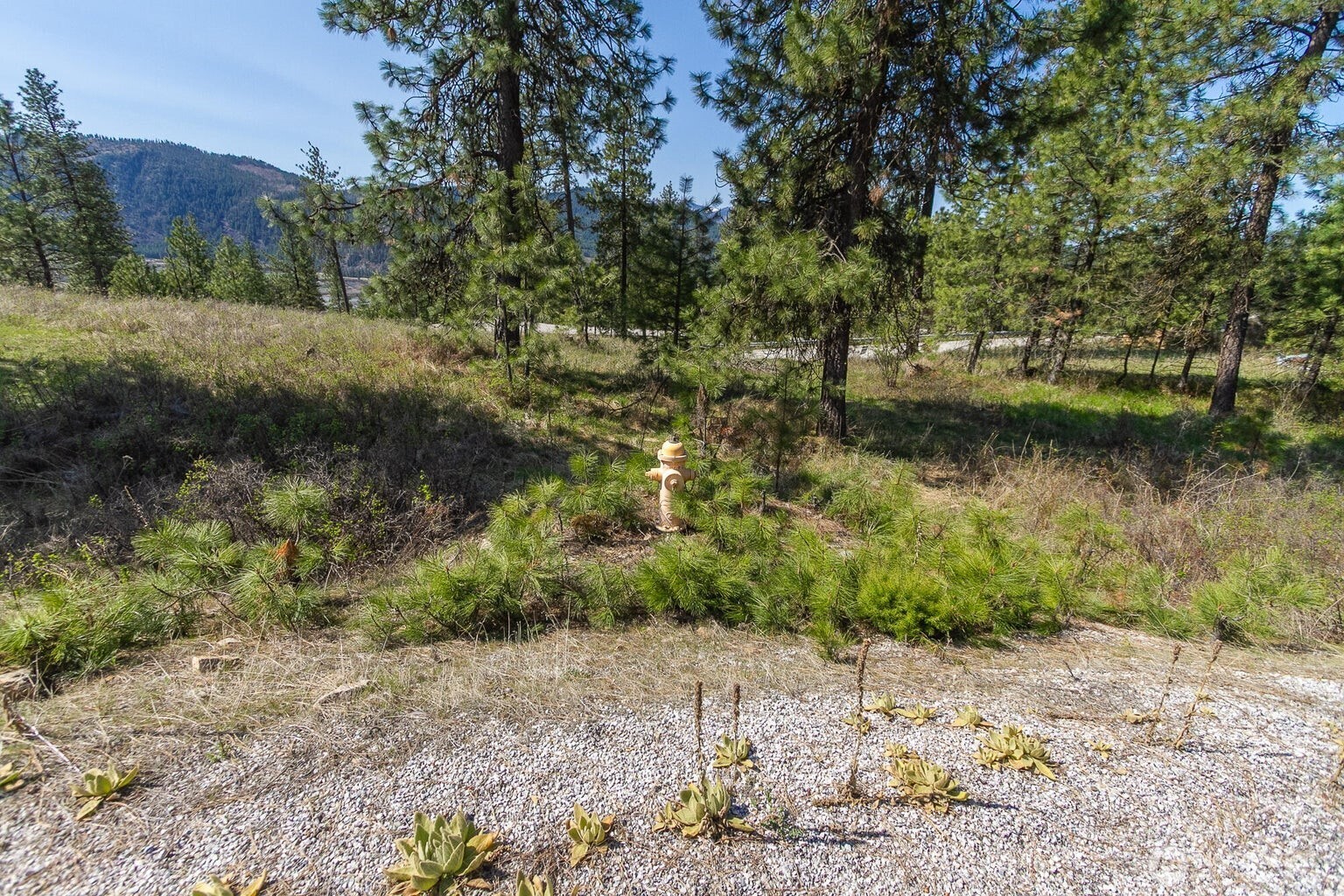 1622 Palmer Loop Property Photo 12