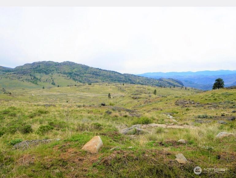 1 Mclaughlin Canyon Road Property Photo 1