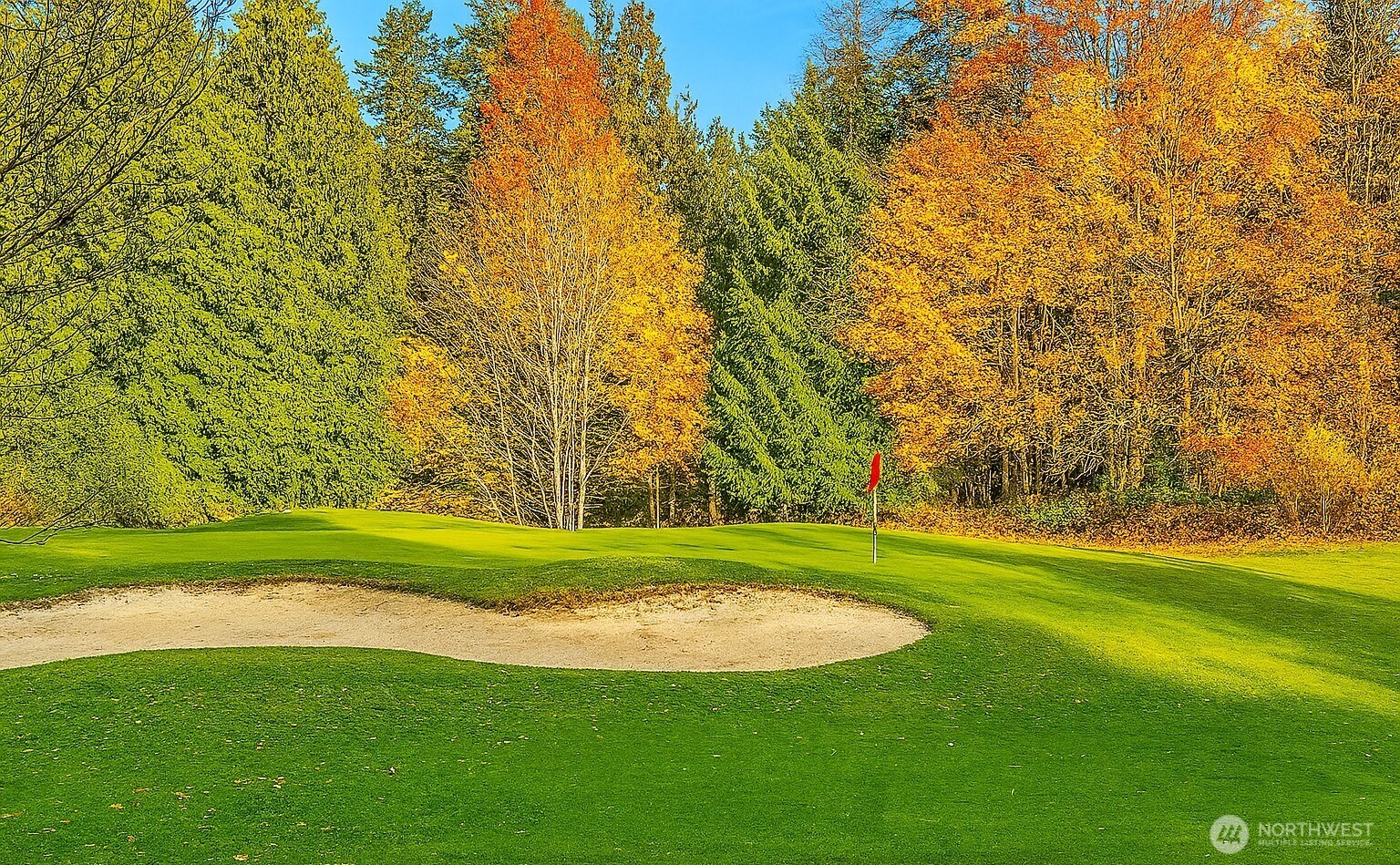 9002 Gleneagle Drive Property Photo 1