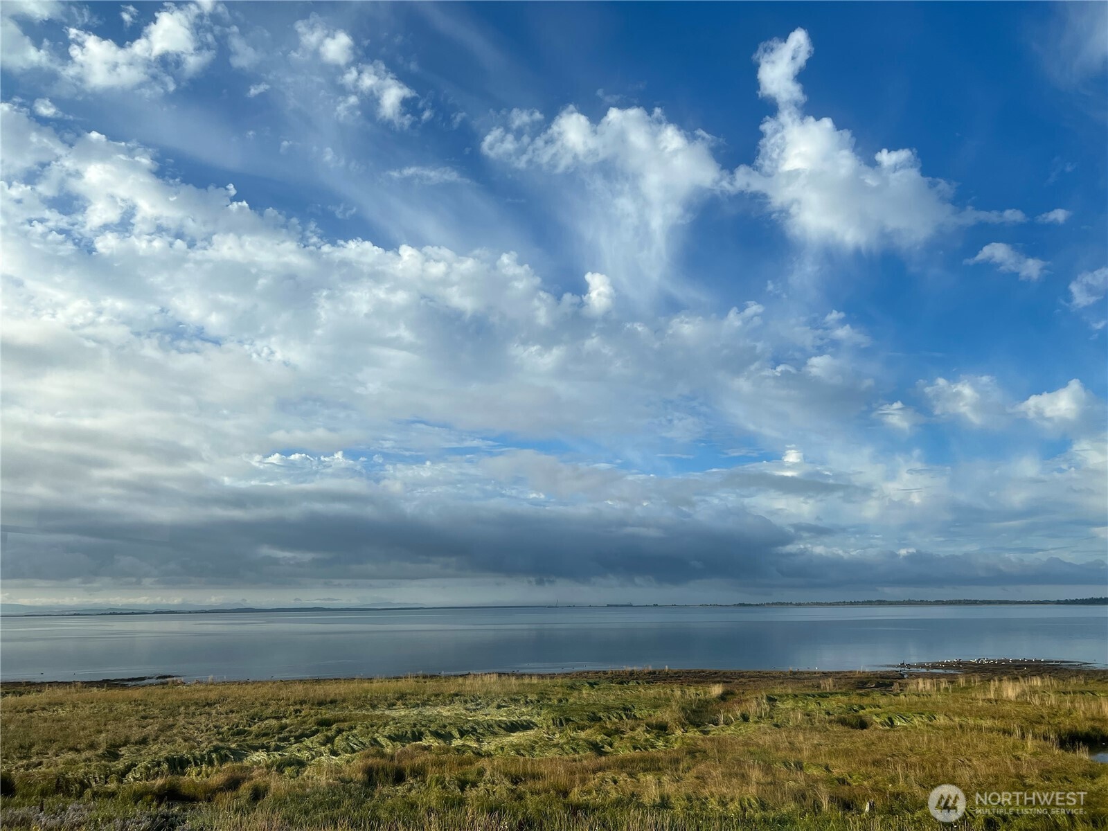 264 Stringtown Road Property Photo 2