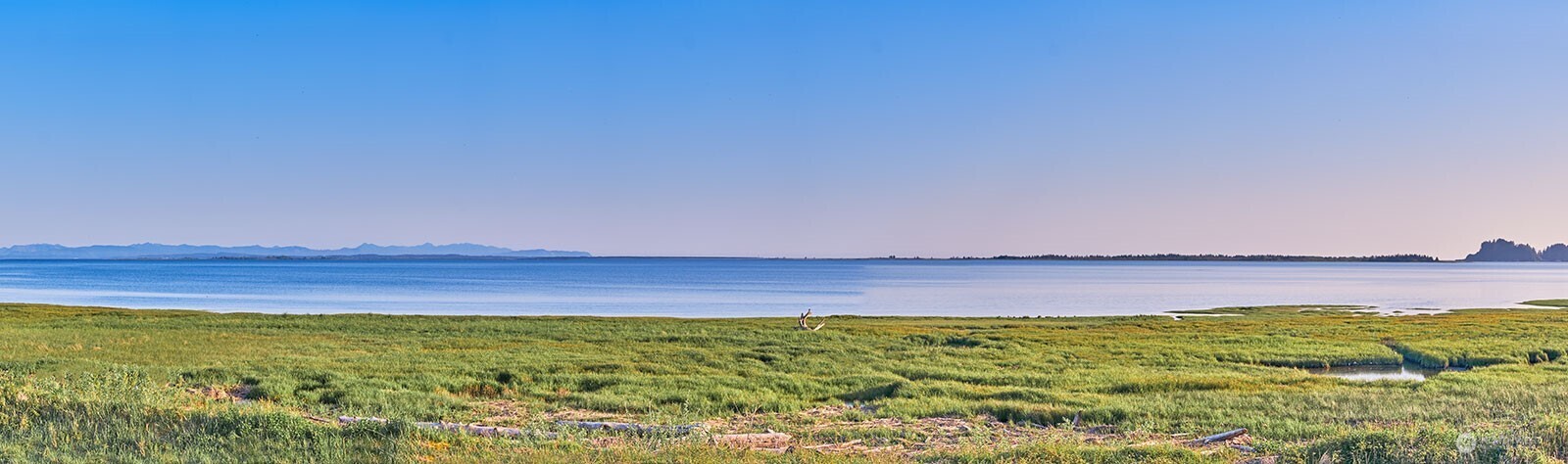 264 Stringtown Road Property Photo 25