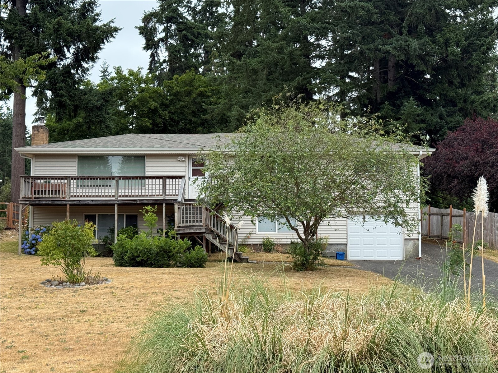 9310 Olson Road