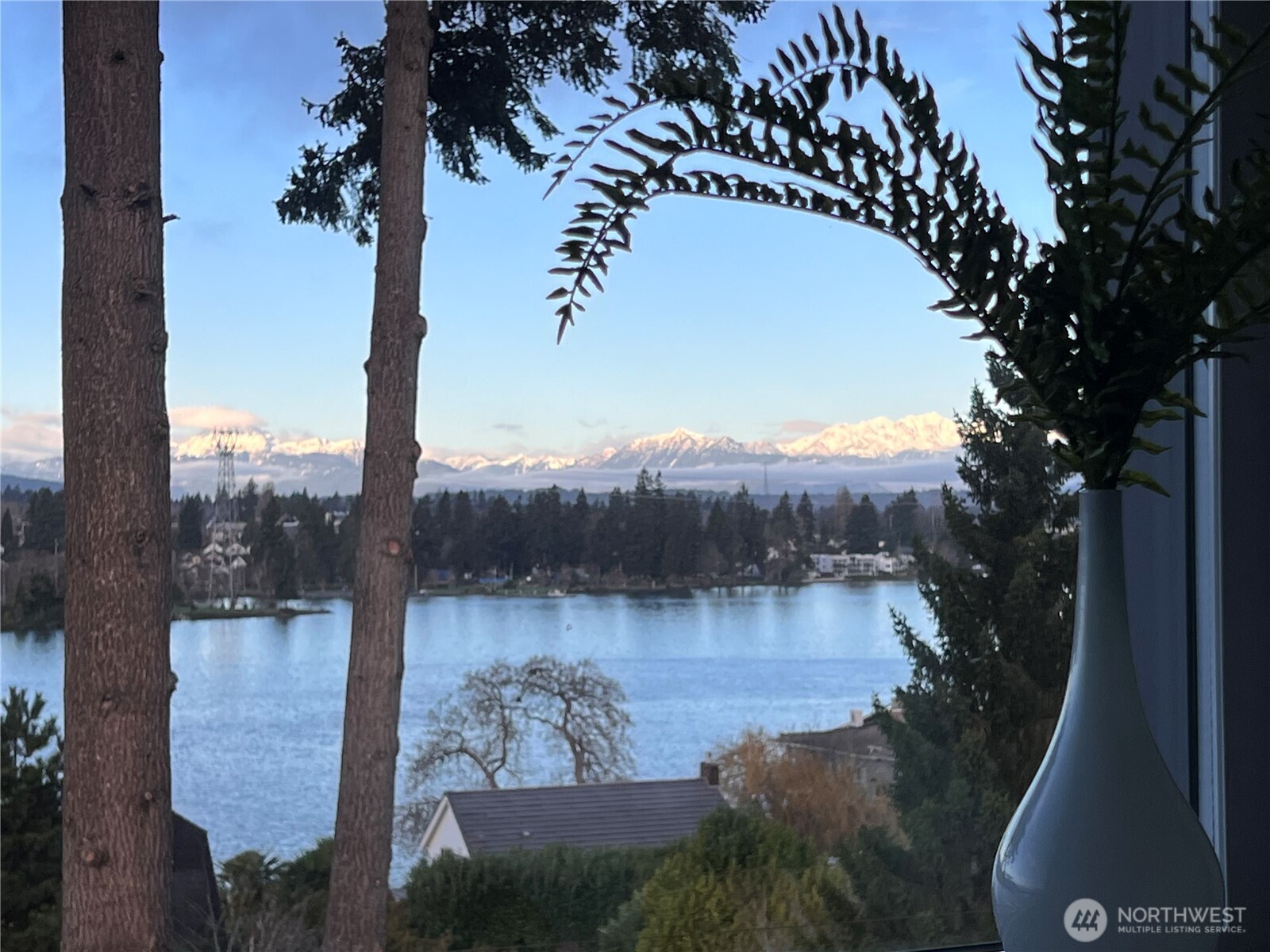 1149 Wheaton Way Property Photo 14