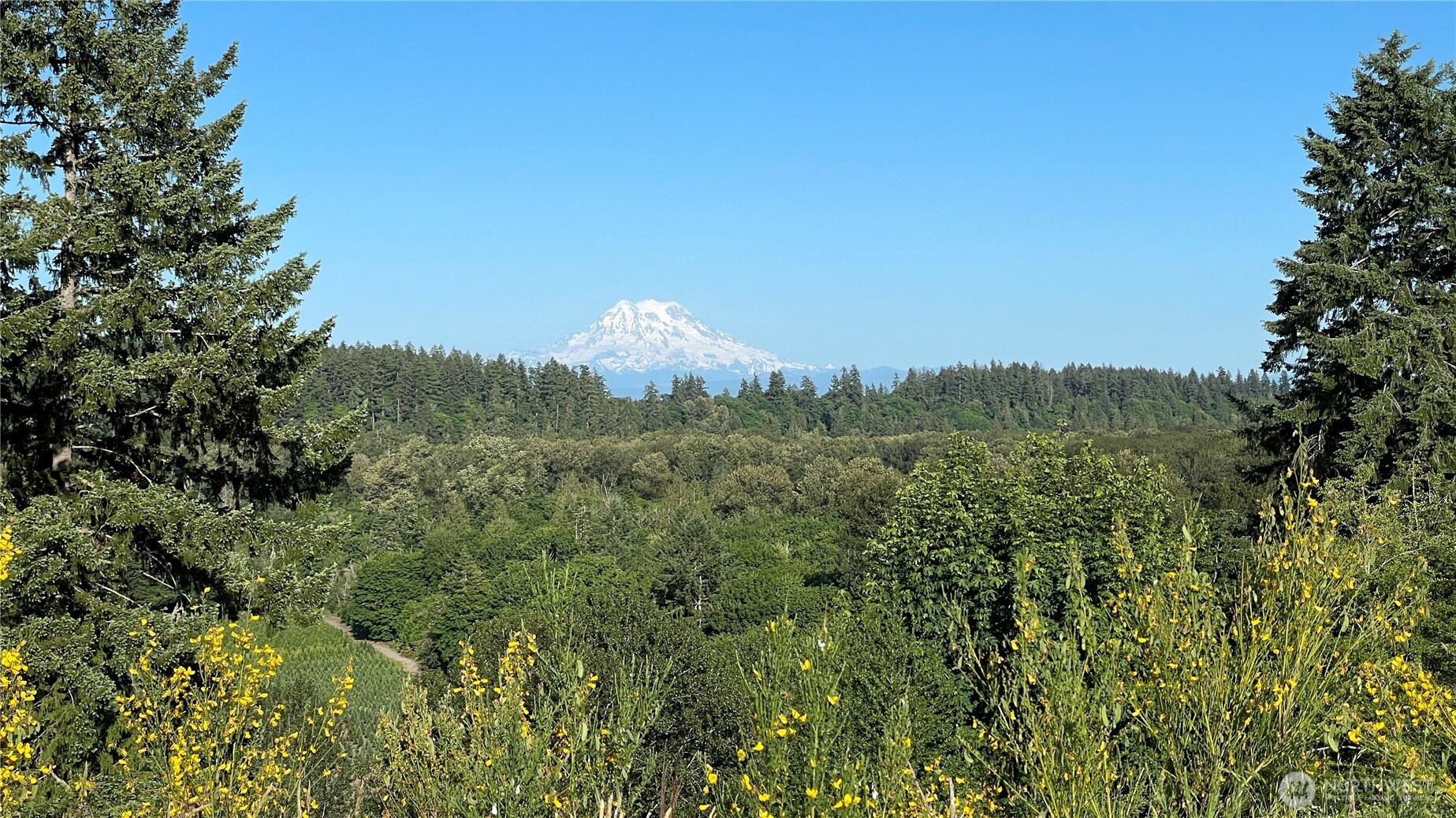 1546 Reservation Road 62 Property Photo 39