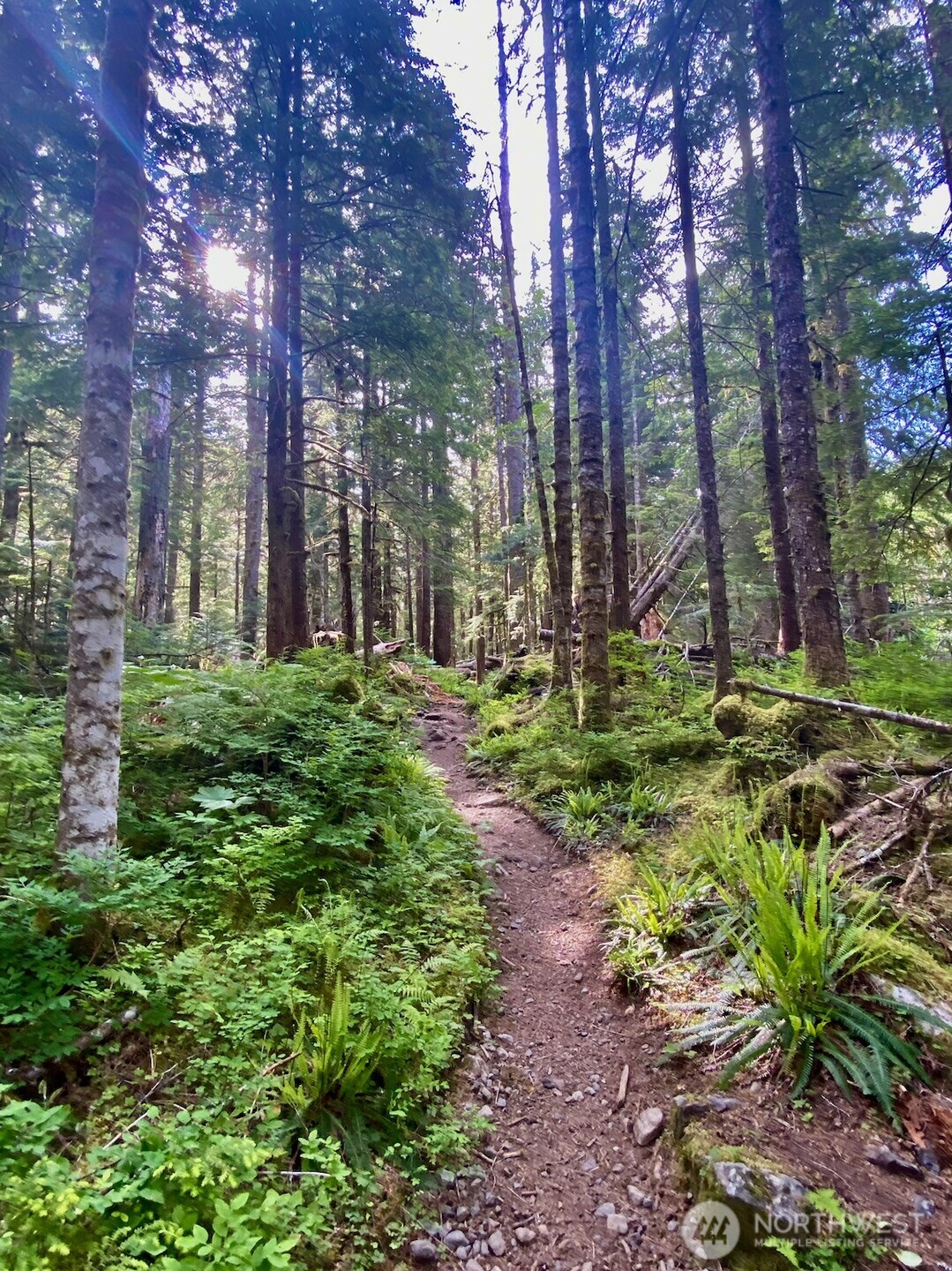 0 Xx Mountain Loop Highway Property Photo 3