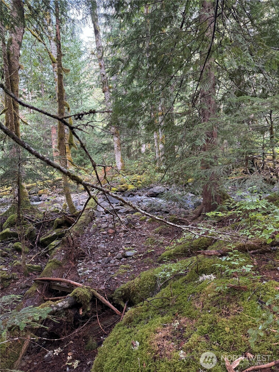 0 Xx Mountain Loop Highway Property Photo 4