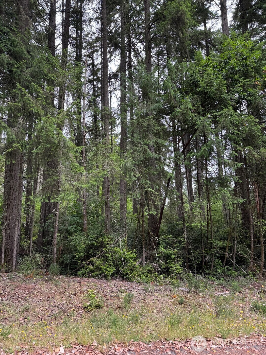 10419 Matthews Way Property Photo 1