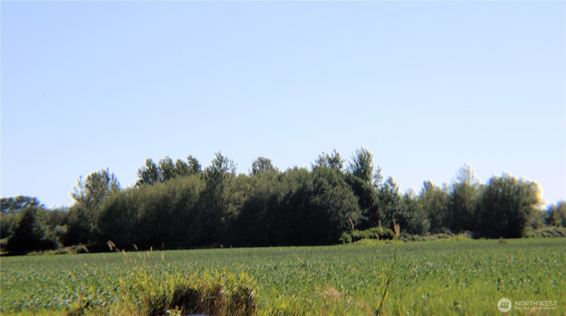 1961 Rayhorst Road Property Photo 8