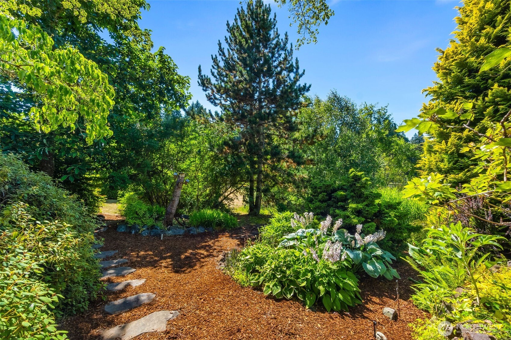 6701 Macintosh Court Property Photo 9