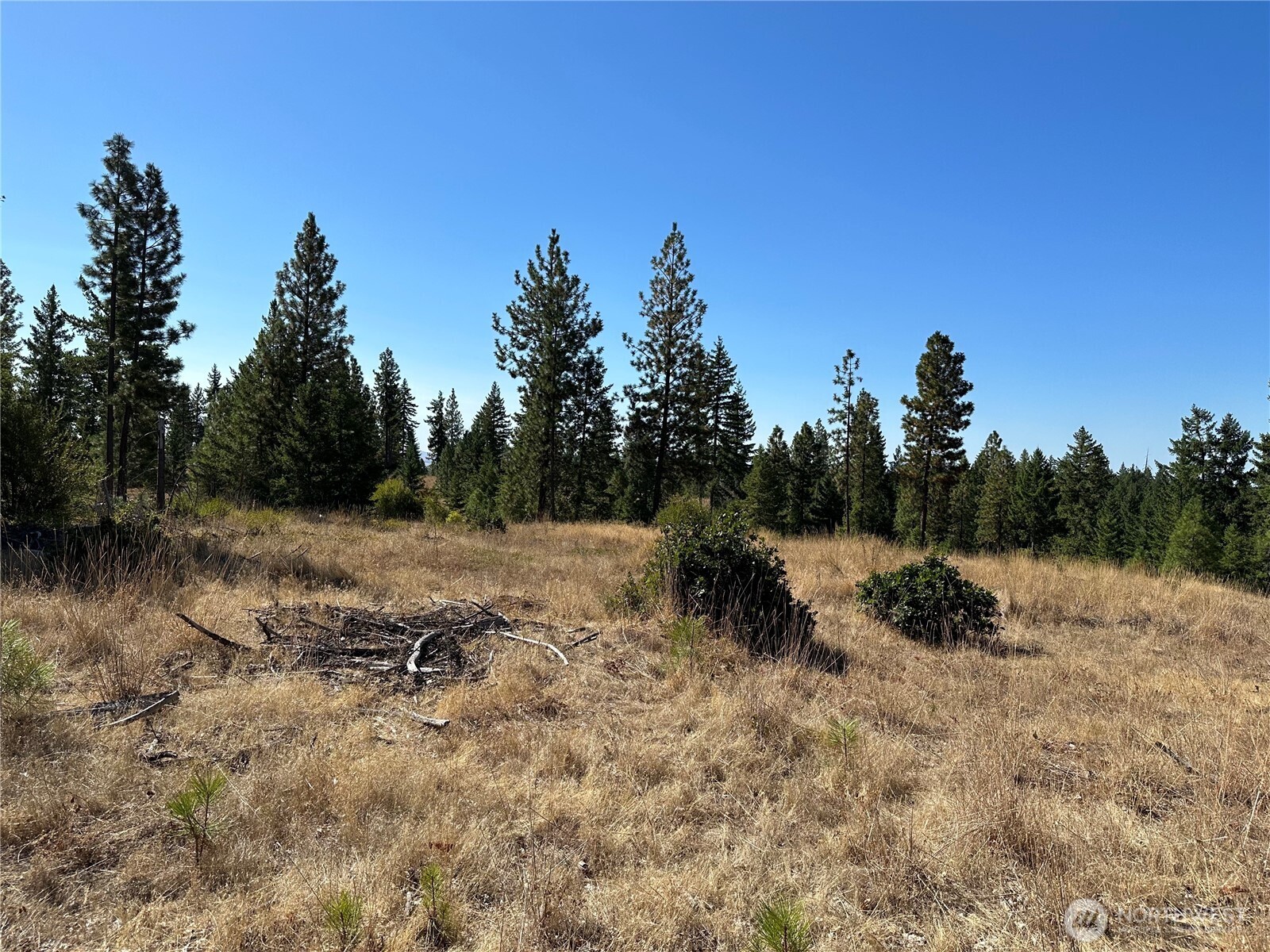 0 Three Mountains Meadows Property Photo 2