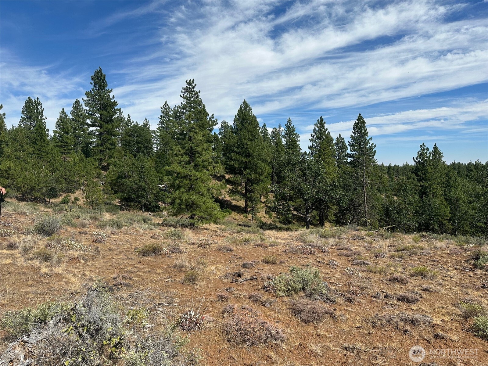 0 Three Mountains Meadows Property Photo 3