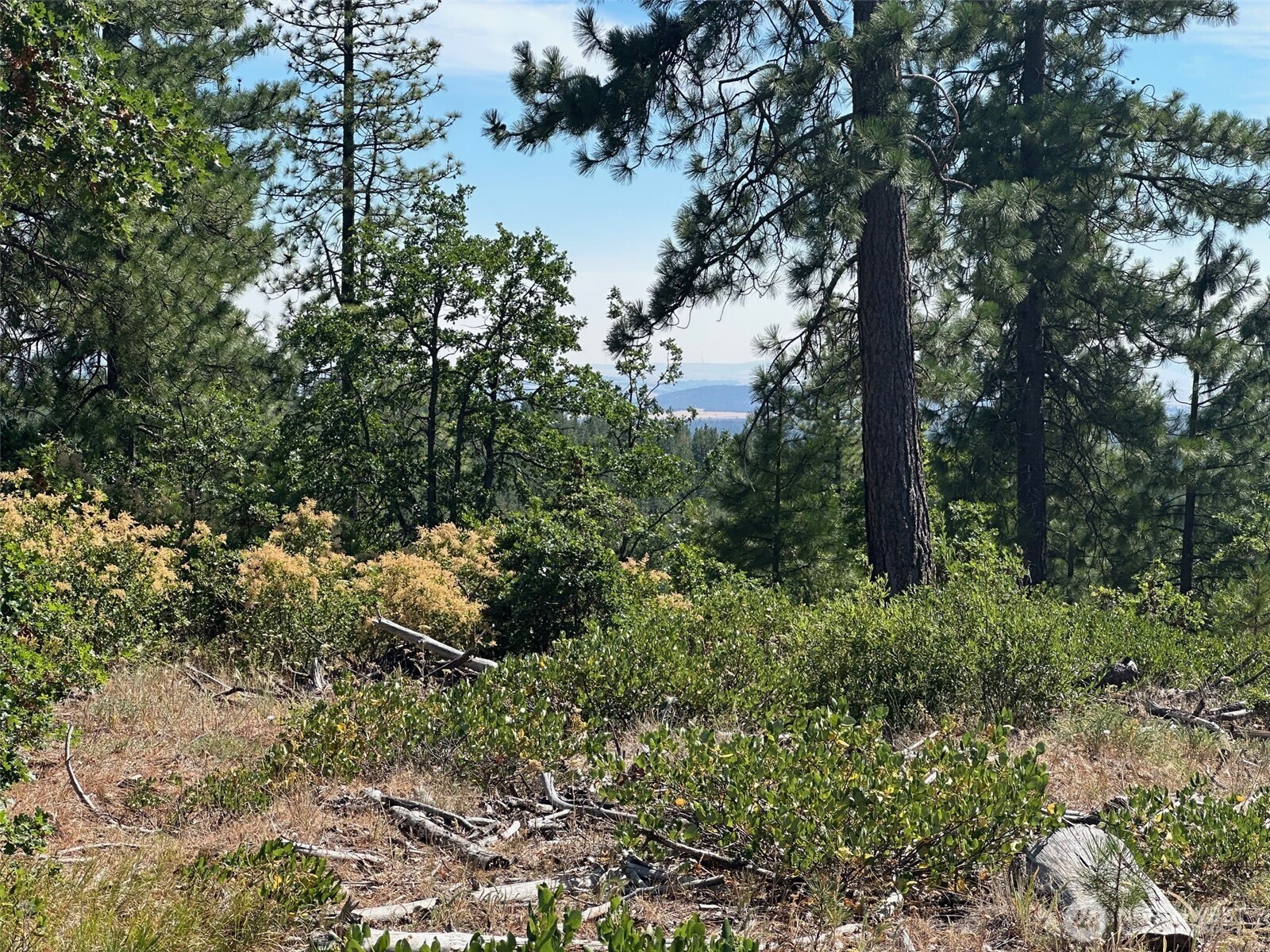 0 Three Mountains Meadows Property Photo 4